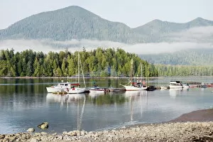 Mist Collection: Boats moored at Tofino, Pacific Rim National Park Reserve, Vancouver Island