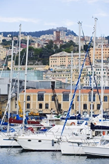 Genova Prints: Boats in Porto Vecchio, Genoa (Genova), Liguria, Italy, Europe