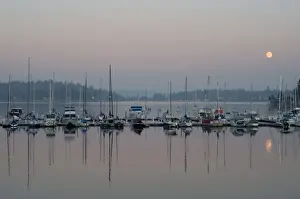 Vashon Island Prints: Boats reflect on the Puget Sound waters of Quartermaster at the Burton Marina