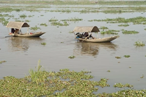 Delta Prints: Boats on river delta river