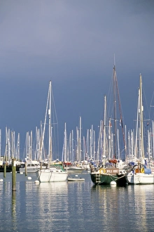 Boats at Town Quay, Lymington, Hampshire, England, United Kingdom, Europe