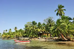 Palm Leaves Prints: Boca del Drago, Colon Island, Bocas del Toro Archipelago