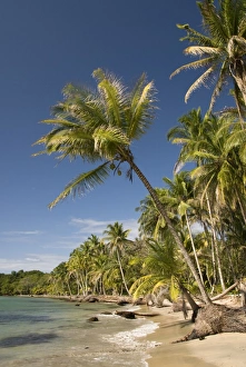 Bocas Del Drago, Isla Colon, Bocas Del Toro, Panama, Central America
