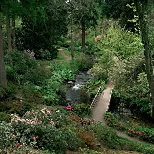 Images Dated 28th August 2008: Bodnant Gardens