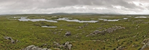 Moody Prints: Bog land, off the Bog Road between Clifden and Roundstone
