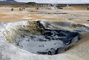 Images Dated 24th June 2009: Boiling mud pool, Namafjall geothermal area, near Lake Myvatn, northeast area