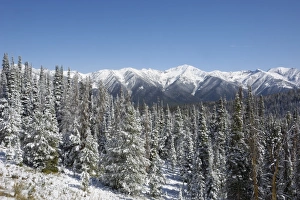 Bolder Mountains in first winter snow, near Galena, Rocky Mountains, Idaho