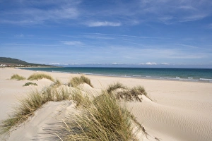 Tropics Prints: Bolonia beach, Costa de la Luz, Andalucia, Spain, Europe
