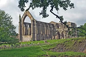 Images Dated 3rd January 2000: Bolton Abbey, Wharfedale, Yorkshire Dales National Park, Yorkshire, England
