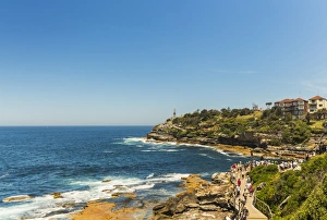 Sydney Prints: Bondi Coast, Sydney, New South Wales, Australia, Pacific
