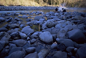 Encamping Prints: Bonfire on North Fork Quinalt River