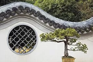 Images Dated 7th January 2008: A bonzai tree and toled arch wall in Winding Garden at West Lake, Hangzhou