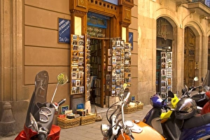 Book Shop Prints: Book store