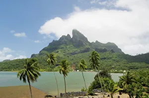 Palm Prints: Bora-Bora, Leeward group