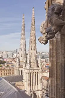 Gargoyle Prints: Bordeaux Cathedral (Cathedrale Saint-Andre de Bordeaux), Bordeaux, Gironde, Aquitaine