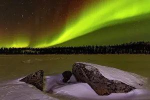 Northern Prints: Boreal forest illuminated by northern lights over snow-covered land in Northwest Territories