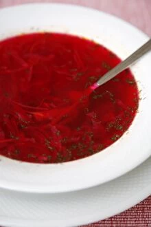 Images Dated 6th September 2008: Borscht, a traditional Russian beetroot soup, Moscow, Russia, Europe