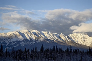 Rockie Prints: Bosche Range in winter, Jasper National Park, UNESCO World Heritage Site