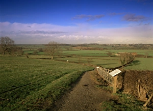 Battle Field Prints: Bosworth Battlefield Country Park, site of the Battle of Bosworth in 1485