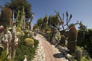 Alpes Maritime Prints: Botanic garden (Jardin Exotique), Eze village, Alpes Maritimes, Provence