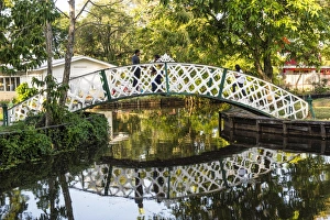 Botanical Garden Prints: Botanical garden, Georgetown, Guyana, South America