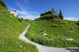 Swiss Prints: Botanical Garden, Schynige Platte, Jungfrau Region, Bernese Oberland, Switzerland