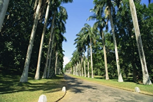 Botanical Gardens