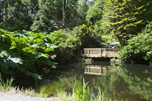 Botanical Gardens Prints: Botanical Gardens at Kells, Ring of Kerry, County Kerry, Munster, Republic of Ireland