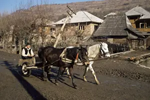 Motoring Prints: Botiba village, Maramuresh region, Romania, Europe