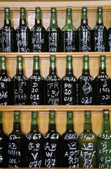 Tasting Prints: Bottles for tasting