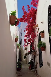 Pink Prints: Bougainvillea in a narrow whitewashed street in upper village