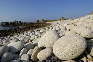 Ushant Prints: Boulder beach and ruin, Island of Ushant (Ile d Ouessant), Brittany, France, Europe