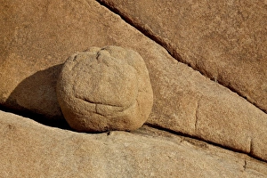 Red Rocks Prints: Boulder and cracks, Joshua Tree National Park, California, United States of America
