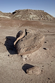 Images Dated 12th February 2010: Boulder that looks like a broken heart among the badlands, Petrified Forest National Park