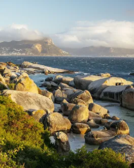 Boulders Beach, Cape Town, Western Cape, South Africa, Africa