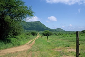 Fence Prints: Boundary fence