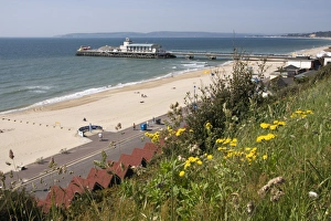 Flowering Prints: Bournemouth Pier and beach, Poole Bay, Dorset, England, United Kingdom, Europe