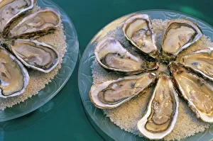 Bouzigues oysters, Chez Philippe, Marseillan port, Herault, Languedoc-Roussillon