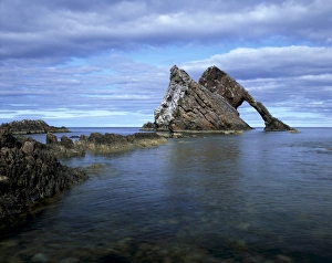 Bow Fiddle Arch