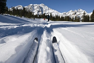 Images Dated 22nd February 2008: Bow Summit, Banff National Park, UNESCO World Heritage Site, Rocky Mountains