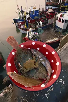 Catch Prints: Bowl of fish and crab, and fishing boats in the background, at Boulogne