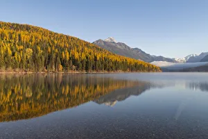 Montana Prints: Bowman Lake, Glacier National Park, Montana, United States of America, North America