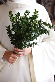 Unrecognizable Prints: Boxwood branch used for blessing, Paris, France, Europe