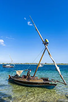 Kids Prints: Boy climbing on the mast of a traditional dhow, island of Lamu, Kenya, East Africa, Africa