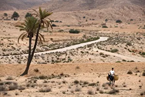 Tunisia Prints: Boy on a donkey in a parched landscape, Gabes, Tunisia, North Africa, Africa