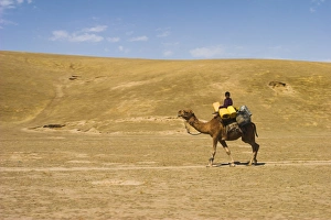 Boy riding camel, between Maimana and Mazar-I-Sharif, Afghanistan, Asia