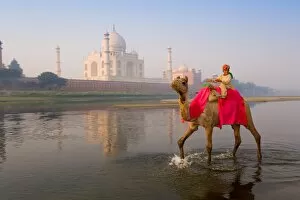 Boy riding camel in the Yamuna River in front of the Taj Mahal, UNESCO World Heritage Site, Agra, Uttar Pradesh, India
