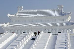 Images Dated 2nd February 2008: A boy slides down a giant replica sculpture of Beijings Forbidden City at the Snow