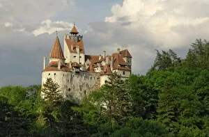 Rural Location Collection: Bran Castle (Draculas Castle), Bran, Transylvania, Romania, Europe