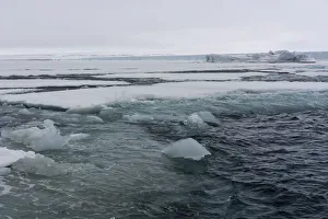 Floating On Water Prints: Brasvellbreen, Austfonna ice cap, Nordaustlandet, Svalbard Islands, Arctic, Norway